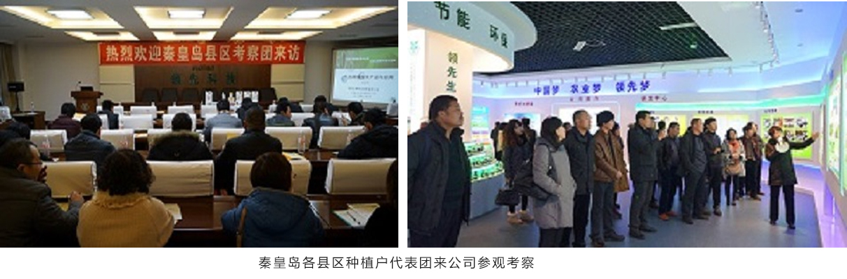 秦皇岛市农业局领导及县区种植户代表团来公司参观考察 秦皇岛市农业局领导及县区种植户代表团来公司参观考察