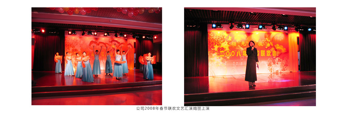 公司2008年春节联欢文艺汇演绚丽上演 公司2008年春节联欢文艺汇演绚丽上演