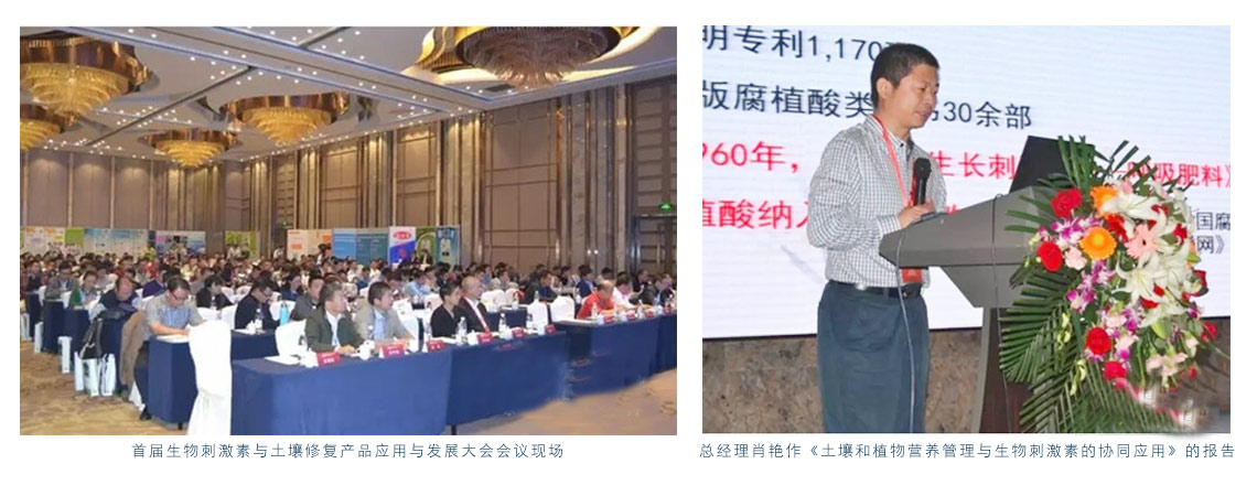 公司总经理肖艳参加“首届生物刺激素与土壤修复产品应用与发展大会”并做主题报告 公司总经理肖艳参加“首届生物刺激素与土壤修复产品应用与发展大会”并做主题报告