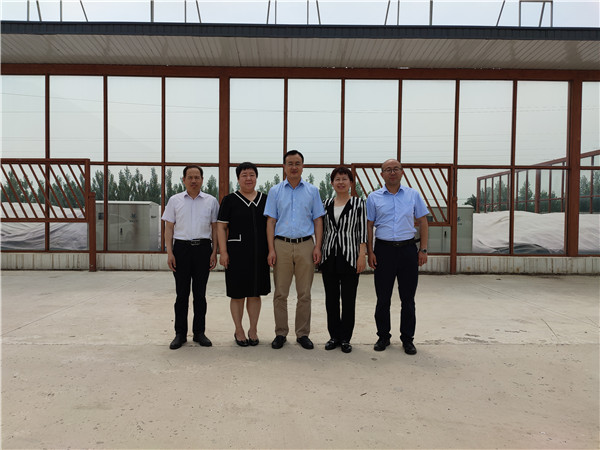 农业农村部微生物肥料和食用菌菌种质量监督检验测试中心李俊主任、姜昕主任来领先公司调研、指导工作 农业农村部微生物肥料和食用菌菌种质量监督检验测试中心李俊主任、姜昕主任来领先公司调研、指导工作