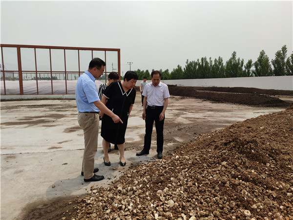 农业农村部微生物肥料和食用菌菌种质量监督检验测试中心李俊主任、姜昕主任来领先公司调研、指导工作 农业农村部微生物肥料和食用菌菌种质量监督检验测试中心李俊主任、姜昕主任来领先公司调研、指导工作