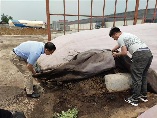 农业农村部微生物肥料和食用菌菌种质量监督检验测试中心李俊主任、姜昕主任来领先公司调研、指导工作 农业农村部微生物肥料和食用菌菌种质量监督检验测试中心李俊主任、姜昕主任来领先公司调研、指导工作