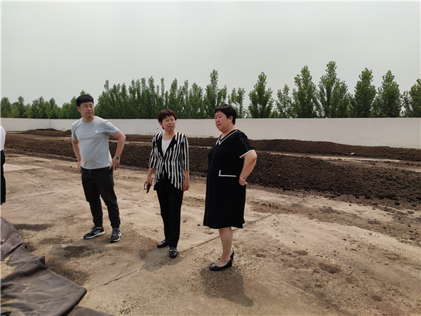 农业农村部微生物肥料和食用菌菌种质量监督检验测试中心李俊主任、姜昕主任来领先公司调研、指导工作 农业农村部微生物肥料和食用菌菌种质量监督检验测试中心李俊主任、姜昕主任来领先公司调研、指导工作